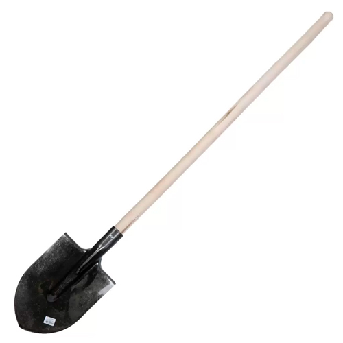 RZN545758