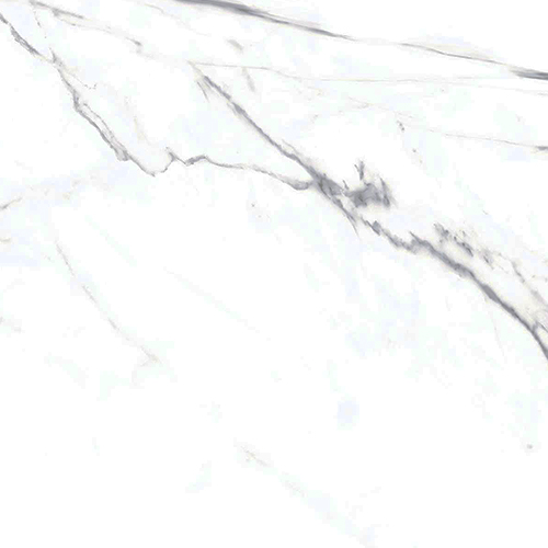 RZN423971