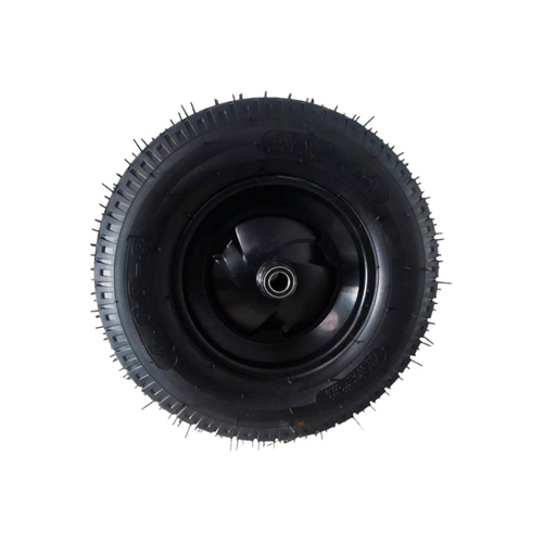 RZN495710