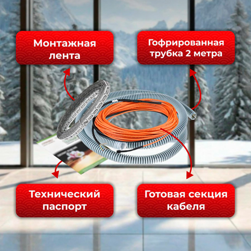 RZN556580