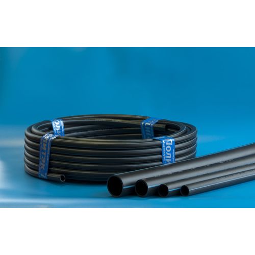 RZN255502