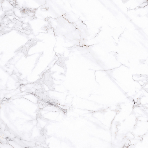 RZN462560