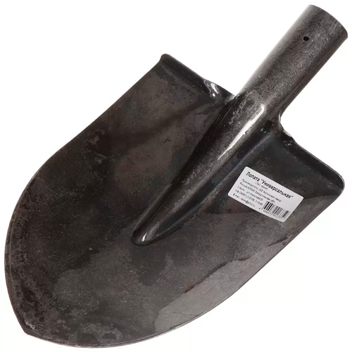 RZN545757