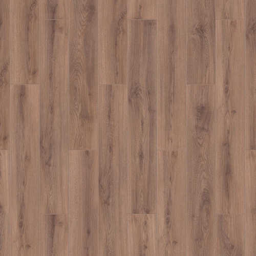 RZN526594