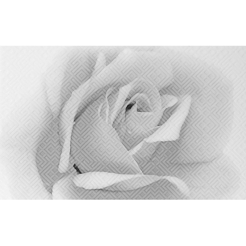 RZN235799