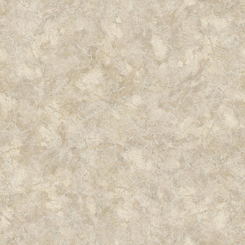Линолеум PRAKTIKA NUBIA 5 4,0м (120 кв.м.)